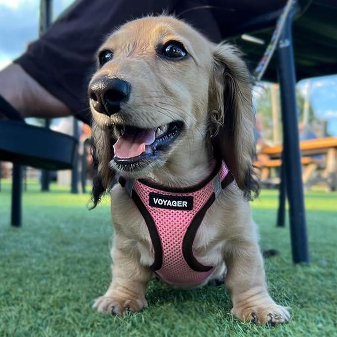 Best Pet Supplies Voyager Step-in Air All Weather Mesh Harness and Reflective Dog 5 ft Leash Combo with Neoprene Handle, for Small, Medium and Large Breed Puppies - 1Pink Base, XL