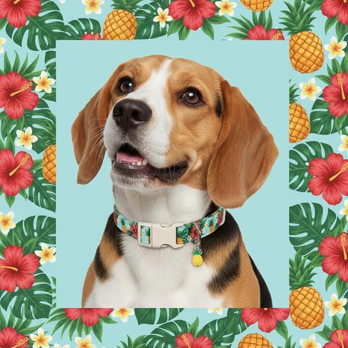 Summer Dog Collar with Tropical Pattern, Cute Dog Collar for Girl Boy Dogs, Pet Collar with Unique Print and Soft Fabric, Suitable for Small Dogs