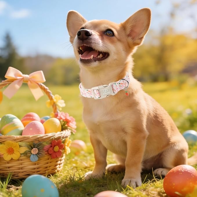 Easter Day Dog Collar, UP URARA PUP Easter Bunny Adjustable Pet Collar with Quick Release, Colorful Rabbits Dog Collars for Small Medium Large Dogs