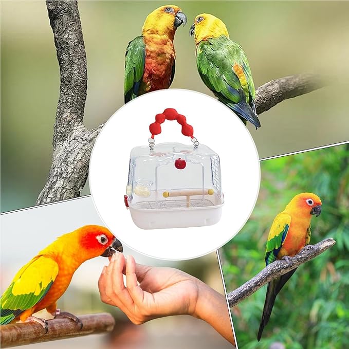 Bird Travel Cage – 12.32x9.06x9.17 inch Transparent Parrot Carry Bag | Bird Travel Carrier – Portable Pet Transport for Outdoor Walk Adventure Cockatiels Budgies Parakeets