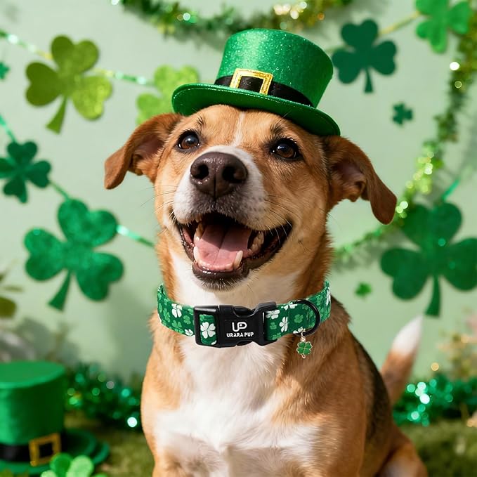 St. Patrick's Day Dog Collar, UP URARA PUP Shamrock Adjustable Pet Collar with Quick Release, St. Patrick's Day Dog Accessories for Small Medium Large Dogs