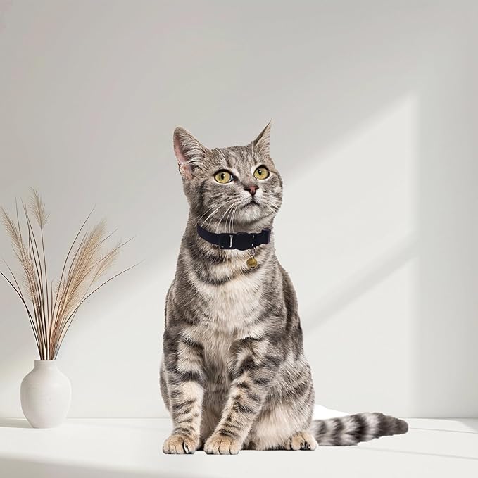 Breakaway Cat Collar with Bell, Safety Buckle Kitten Collar, Elastic Strech Quick Release, Adjustable Lightweight Collars for Girl Boy Cats, Pet Supplies, Accessories, Gifts Black