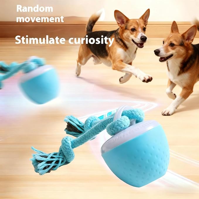 Interactive Dog Toys, Interactive Dog Ball with Birdsong Squeaky Chewable Rope for Small/Medium/Large Dogs,Automatic Moving Dogs Toy Wicked Ball for Boredom & Training,Dog Toys to Keep them Busy (Red)