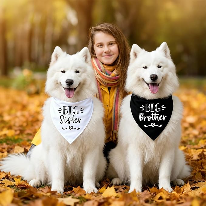 2 Pack Dog Bandanas for Pregnancy Announcement, Cute Adjustable Pet Bandana Scarf for Small Medium Large Dogs, Gender Reveal Puppy Accessories, Soft Breathable Fabric for Puppy Cats