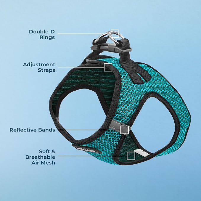 Best Pet Supplies - All Weather Mesh/Plush, Reflective, No Pull Harness for Small, Medium Dogs, Cats - Secure with Hook & Loop Fastener, Buckle, Double D-Rings - Turquoise 2-Tone, L