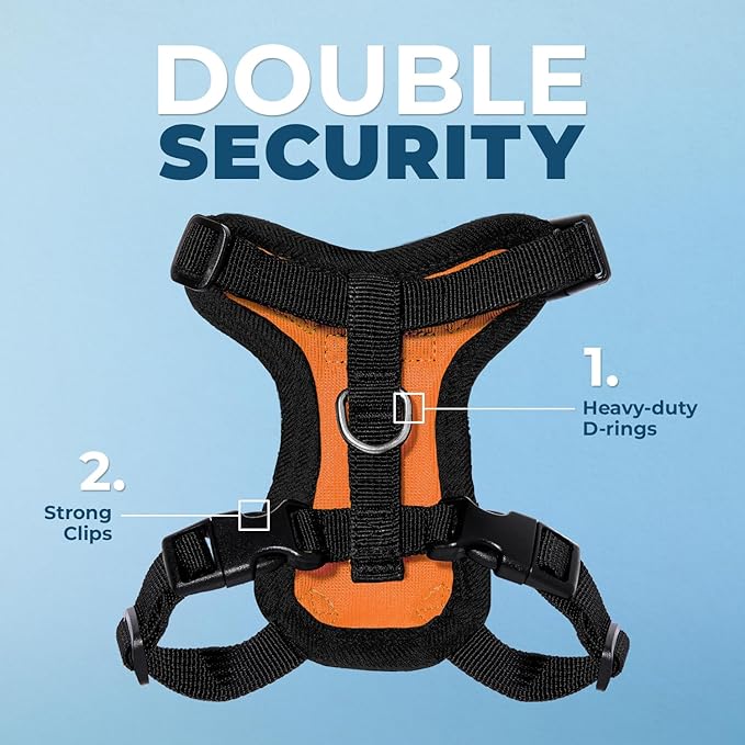 Voyager Escape-Proof Step-in Lock Cat Harness & 5ft Neoprene-Handle Leash Set All-Weather Mesh with Reflective Stitching for Small to Large Cats by Best Pet Supplies, Orange/Black Trim, S