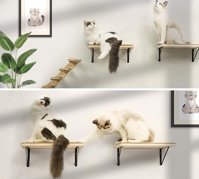 Cat Wall Shelves & Stairs - 2PCS Cat Furniture with 2PCS 4 Steps Climbing Shelves & Scratching Perches for Sleeping, Playing