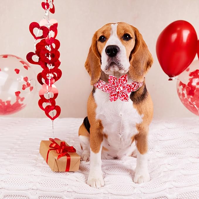 Lionheart glory Valentine's Day Dog Collar with Flower Dog Collars Red Hearts Dogs Collar with Bowtie for Large Dogs Spring Puppy Pet Collars Bows