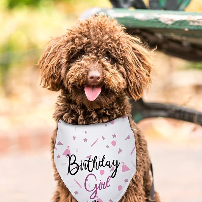 Dog Birthday Girl Happy Birthday Dog Bandana for Girls Pet Accessories for Pet Lovers Bandana for Puppy Girl Birthday