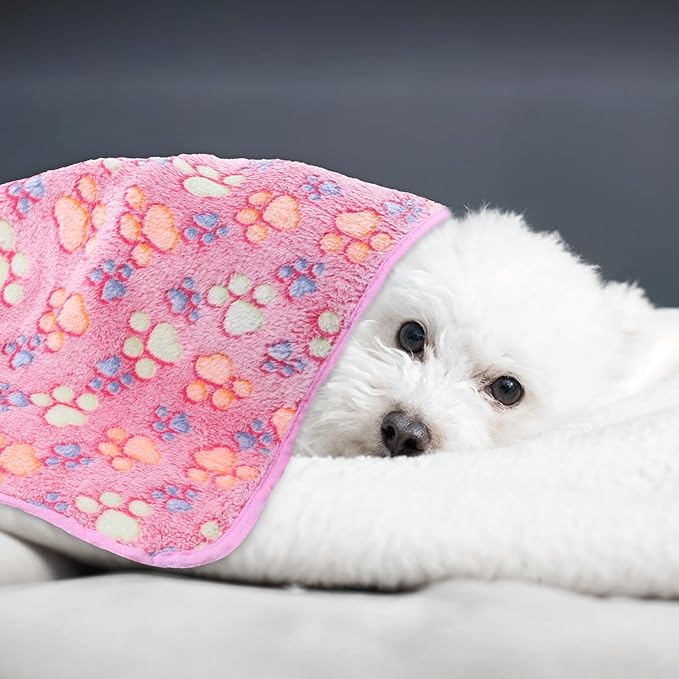 12 Pcs Dog Blanket Pet Paw Print Fleece Blanket Cat Soft Warm Sleep Mat Guinea Pig Cage Liners Small Medium Whelping Pet Essentials for Pet Grooming Shop Girl Boy Puppy
