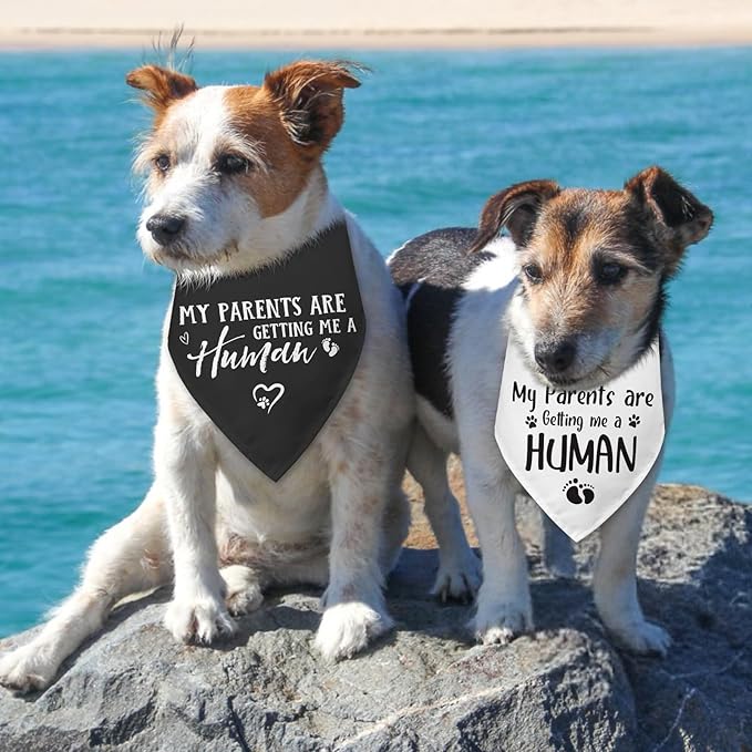 2 Packs My Parents are Getting Me a Human Gender Reveal Dog Bandana Pregnancy Announcement Pet Dog Triangle Scarf Accessories Baby Announcement Gift for Small Medium Large Dogs Cats