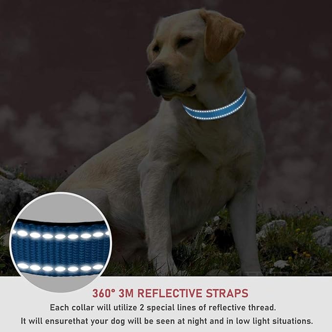 Reflective Dog Collar with Buckle Adjustable Safety Nylon Collars for Small Medium Large Dogs, Blue L