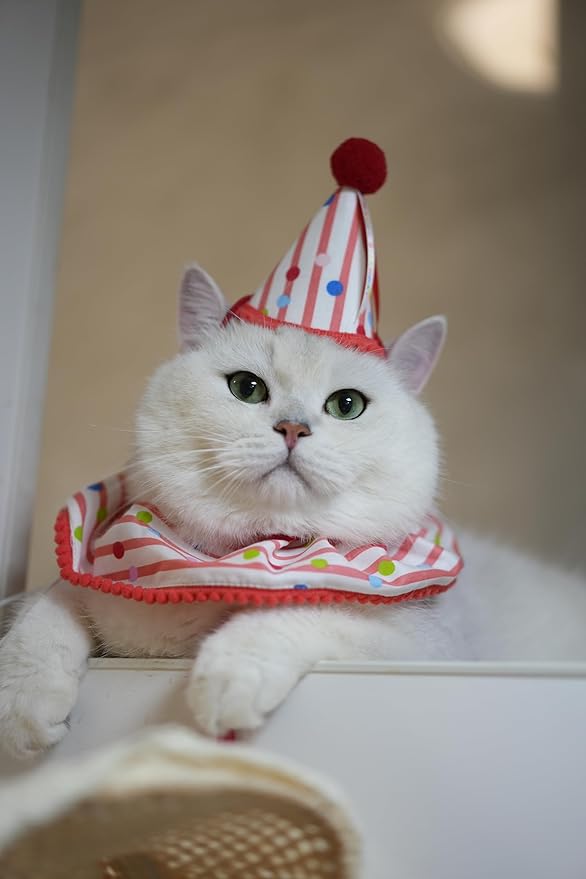 Cat Dog Birthday Bandana Scarf and Party Hat Cute Polka dot and Stripe Bib Scarf and Birthday Hat Cat Puppy Birthday Party Decorations Set