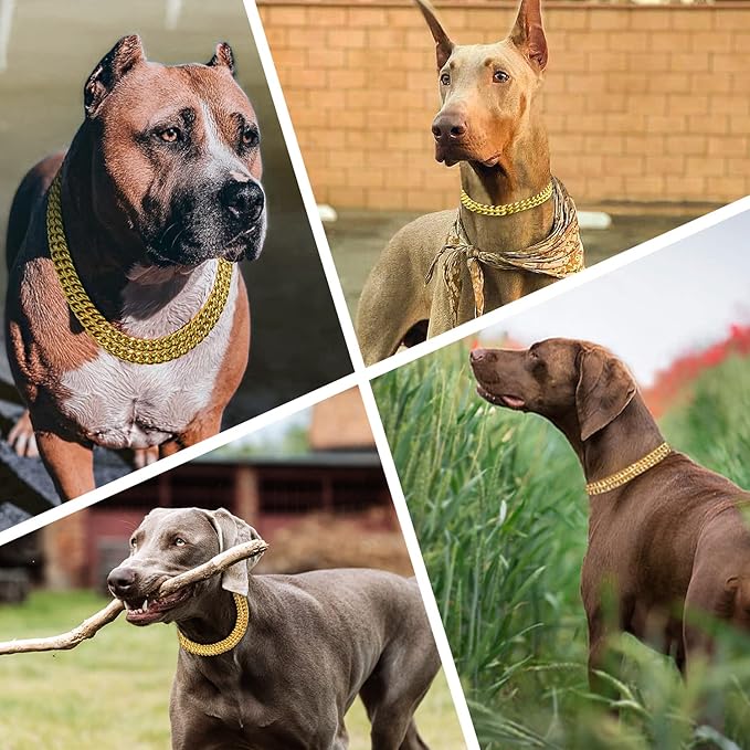Stainless Steel & 18K Gold Dog Chain Collar - Adjustable, Chew Proof, Cuban Link, Double Row, Metal, Walking Collar for Large, Small, Medium Dogs (S 12" -16")