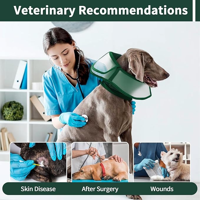 Allroaring Dog Cone Collar, Soft Dog Cones for Medium Dogs After Surgery, Adjustable Pet Cone for Dogs to Stop Licking, Breathable Doggie Elizabethan Collar for Wound Care Spay Neuter, Green M