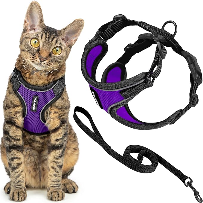 Voyager Escape-Proof Step-in Lock Cat Harness & 5ft Neoprene-Handle Leash Set All-Weather Mesh with Reflective Stitching for Small to Large Cats by Best Pet Supplies, Black Trim-Purple (327), XXXS