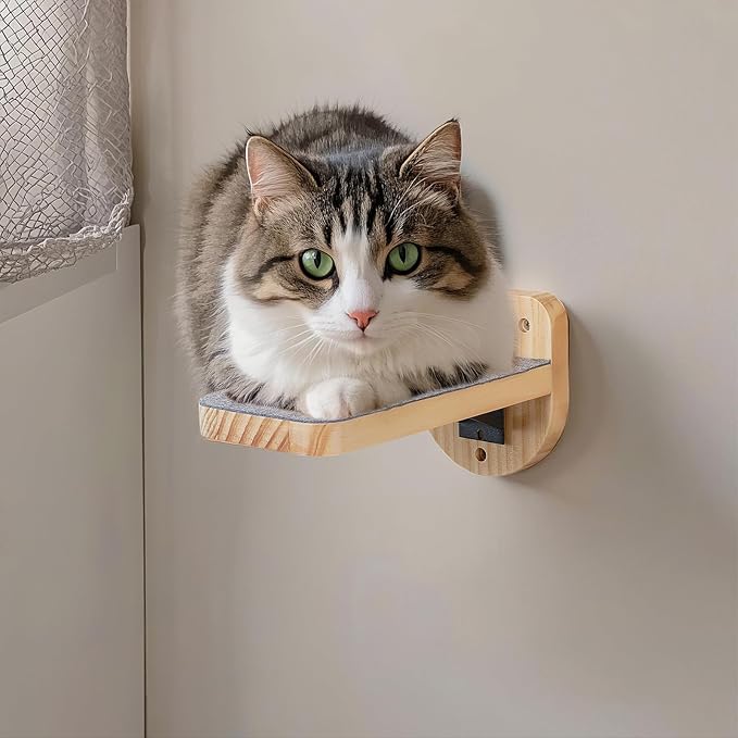 ESPETS Set of 3 Natural Wood Cat Wall Steps Floating Ladder Stairs- Wall Mounted Wooden Cat Shelves and Perches - Holds up 30lbs