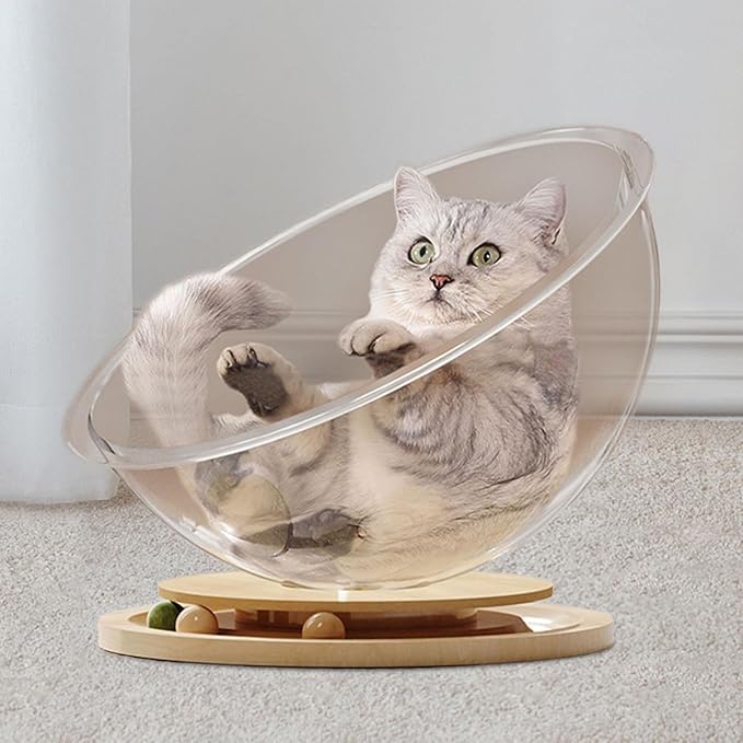 Space Capsule Cat Transparnt Cat House Set with Track Balls Toy, All Seasons Universal Activity Centre Stable Kitten Nest Pet Accessories for Cats/Kitten Cats, Style B L