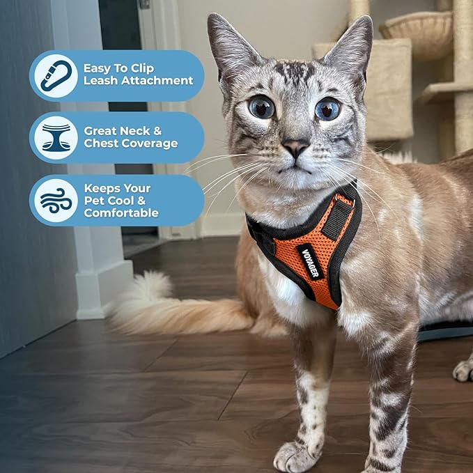 Voyager Escape-Proof Step-in Lock Cat Harness & 5ft Neoprene-Handle Leash Set All-Weather Mesh with Reflective Stitching for Small to Large Cats by Best Pet Supplies, Orange/Black Trim, XS