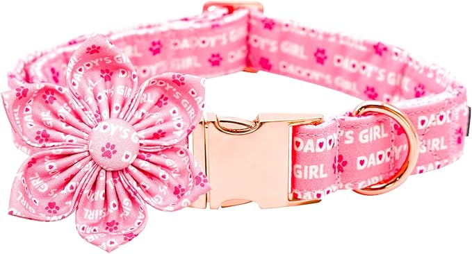 Lionheart glory Valentine's Day Dog Collar with Flower Dog Collars Pink Collars for Large Dogs, Spring Pet Puppy Collar Flowers