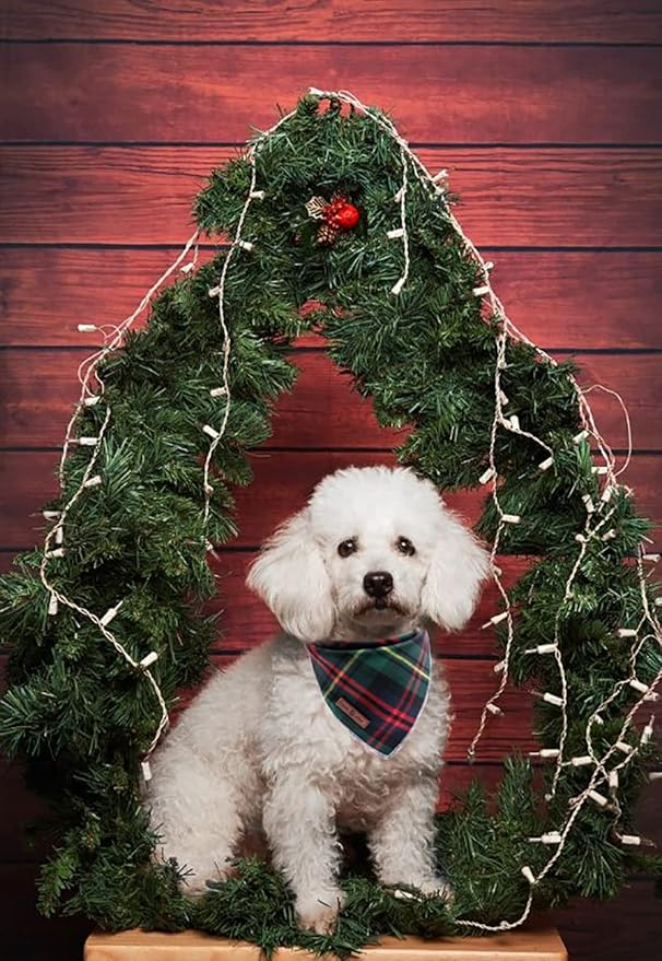 Lionet Paws Christmas Dog Bandana Washable Cotton Handkerchief Scarf Triangle Green Bandanas for Medium Large Dogs Girl Boy