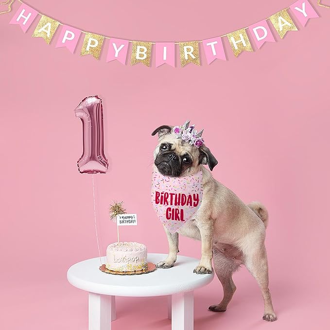 Birthday Girl Dog Bandanas 1 Pack, Pink Dog Scarfs for Girl, HBD Pet Scarves for Birthday Bandanas for Small Medium Dogs (Pink, Small)