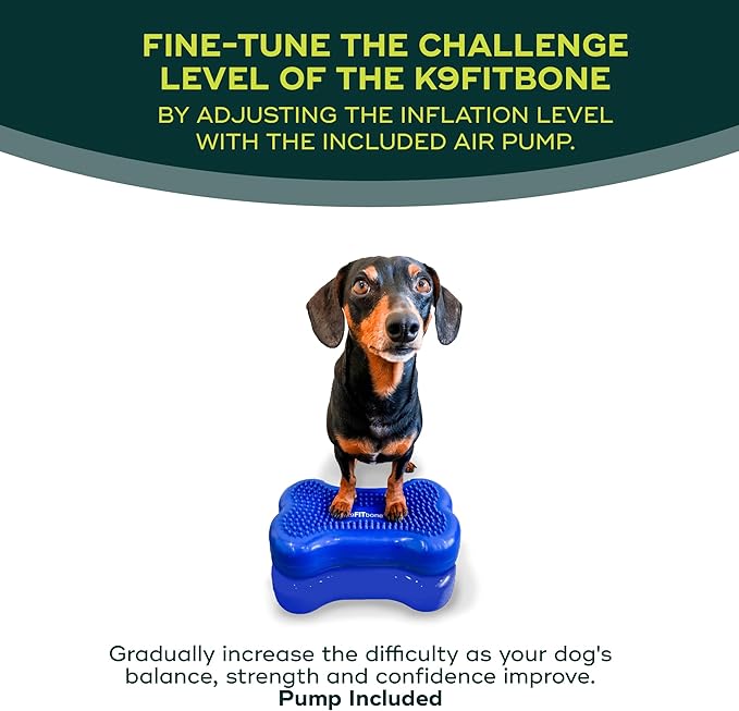 FitPAWS® K9FITbone® - Mini, Blue (Set of 2) | Dog Balance Training Platform & Exercise Equipment | Workout Tool for Strength, Core & Stability