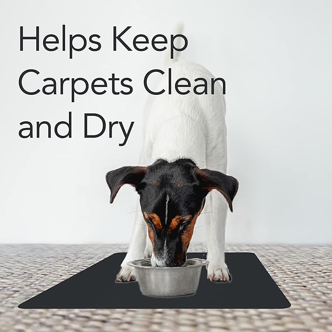 RESILIA Under Pet Cage Mat for Bird Cages, Reptile Aquariums, Dog Kennels, Water-Resistant Pad for Carpeted Floors and Surfaces, 30 Inches x 48 Inches, Black