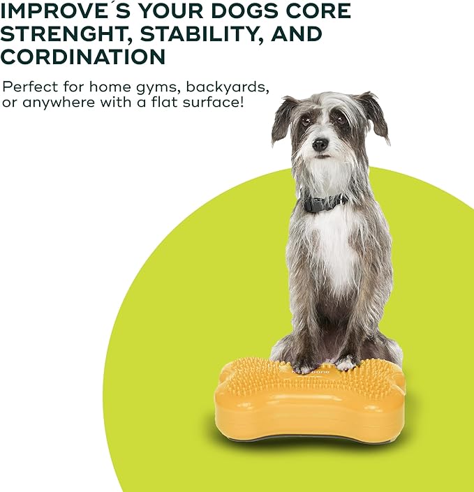 Mini K9fitbone Balance Training Platform (Set of 2)
