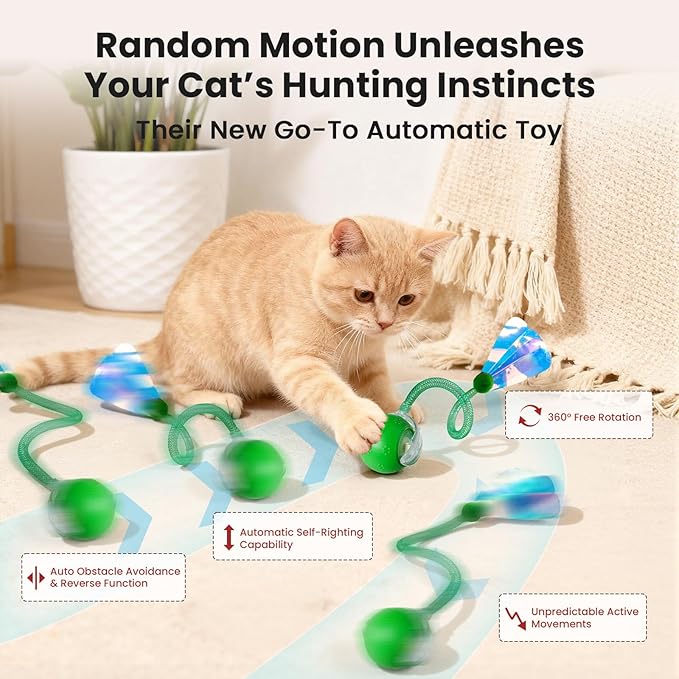 Rocfish Interactive Cat Toy for Indoor Cat, Smart Automatic Cat Chase Ball Toy (New Green)