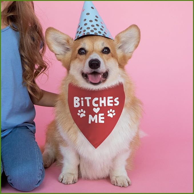 Funny Dog Birthday Bandana Boy Girl Pets Birthday Gift for Large Medium Small Dogs Cute Pet Gifts for Dog Mom Dad Photo Prop Pet Scarf Accessories Christmas Puppy Gifts