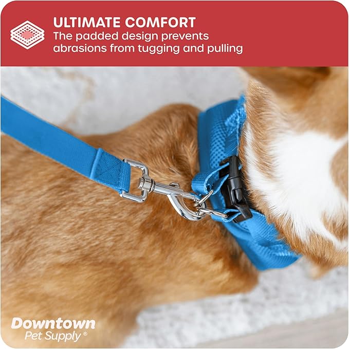 Downtown Pet Supply Step in Dog Harness for Teacup Dogs & Cats No Pull, XX-Small, Cobalt - Adjustable Harness with Padded Mesh Fabric and Reflective Trim - Buckle Strap Harness for Dogs