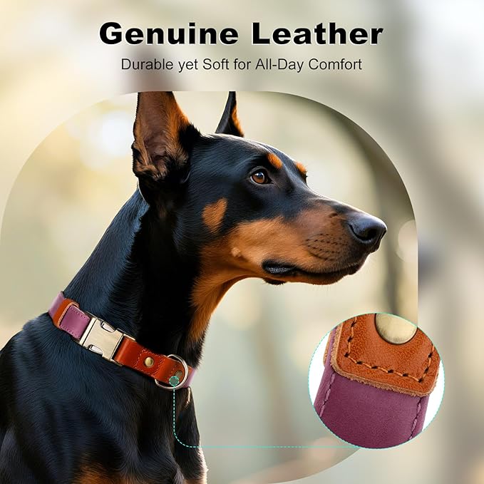 Plutus Pet Genuine Leather & Hemp Dog Collar – Adjustable Heavy Duty Pet Collar with Quick Release Metal Buckle, Soft & Stylish for Puppy and Small, Medium, Large Dogs (Purple, L)