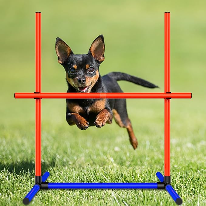 Dog Agility Training Jumping Hoop for Small Medium Dogs, Adjustable Height Pet Exercise Equipment for Outdoor Backyard (2)