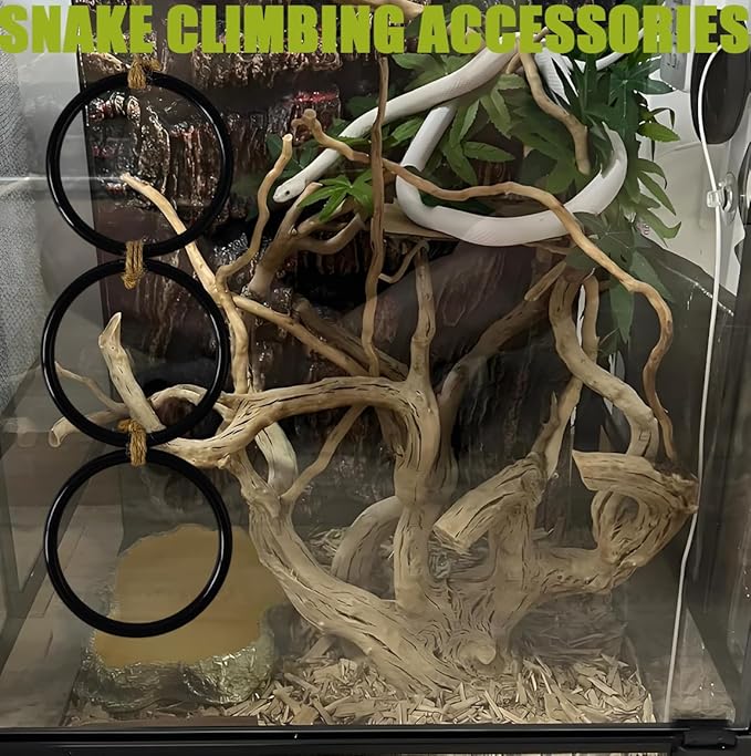 Snake Enrichment Toys Ball,Jungle Gym Ball and Enrichment Rings for Small Ball Python Corn Snakes,Reptiles Climbing Toy,Snake Exploring&Climbing Accessories