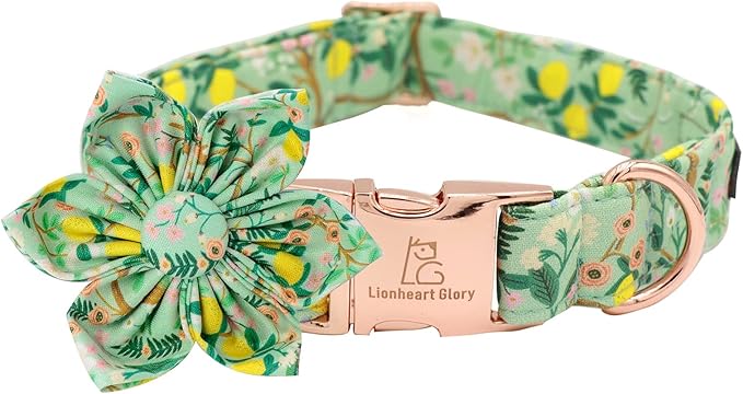 Lionheart Glory Cute Lemon Floral Pattern Adjustable Dog Collar for X-Large Dogs