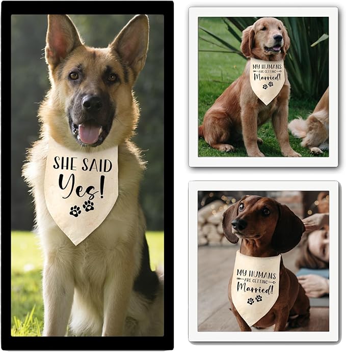 Engagement Gifts My Humans are Getting Married! SHE Said Yes! Pet Bandana Scarf Wedding Photo Prop Pet Accessories for Dog Lovers Owner Gift Engagement Party Bridal Shower Decorations