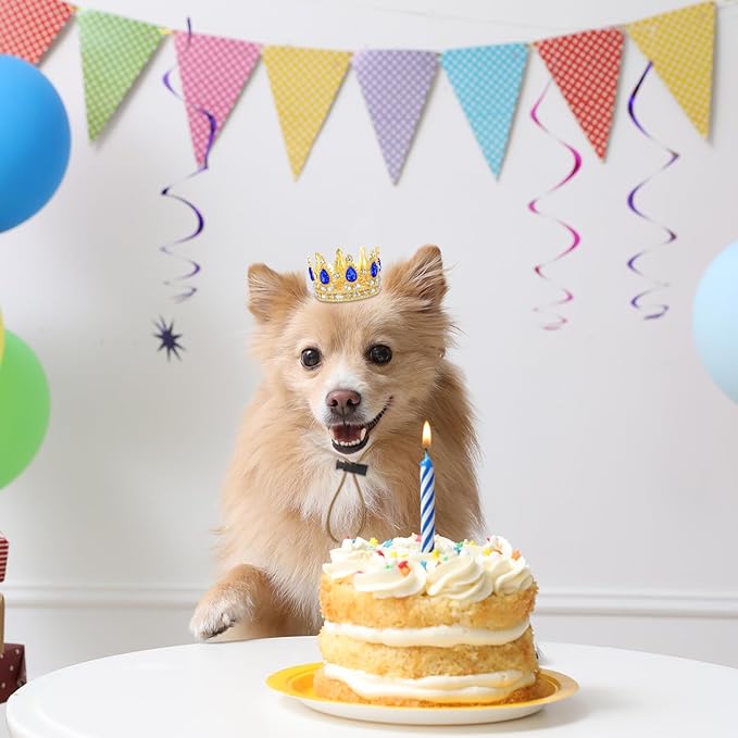 Abbylike Pet Rhinestone King Crown, Queen Crown for Birthday New Year Costume for Small Dog Cat Cosplay Party Accessories Adoption Celebration Wedding Birthday Photos Prop Costume(Blue,Small)