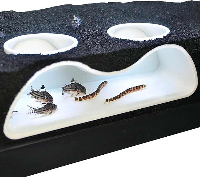 Aquarium Underground Tunnel Cave Natural Curve Two Hole | Viewing Fish & Shrimp Under Gravel Tunnel | Fish Tank Decor Decoration Hideout Perfect for Corydora Catfish, Kuhli Loach, Pleco (White)
