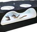 Aquarium Underground Tunnel Cave Natural Curve Two Hole | Viewing Fish & Shrimp Under Gravel Tunnel | Fish Tank Decor Decoration Hideout Perfect for Corydora Catfish, Kuhli Loach, Pleco (White)