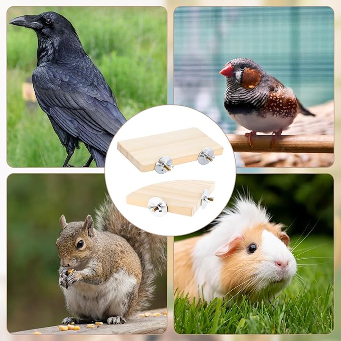 2PCS Bird Perch Platform Flat, Fan Shape and Rectangle Bird Cage Platform, 5.9 × 3.14 Inches Birds Perch Stand Platforms with Stainless Steel Washers for Cockatiel Rat Hamster Guinea Pig Conure