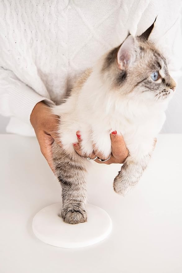 Pearhead Pet Paw Print Keepsake Ornament Kit, Memorial Clay Paw Impression for Dogs & Cats, DIY Hanging Pet Memorial with Ribbons, Pet Keepsake Gift