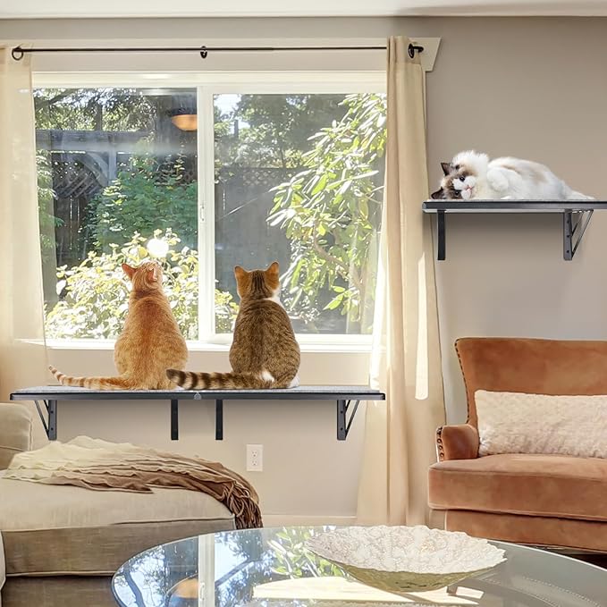 Cat Wall Shelves Set of 4, Purrfect Cat Furniture Set - 4 Piece Wooden Wall Shelves with Scratching Pad, Sleeping & Playing Area, Window Perch for Large Cats - Black