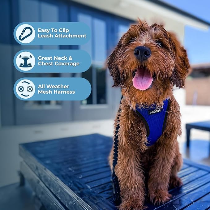 Best Pet Supplies Voyager Step-in Air All Weather Mesh Harness and Reflective Dog 5 ft Leash Combo with Neoprene Handle, for Small, Medium and Large Breed Puppies - Royal Blue/Black Trim, XX-Small