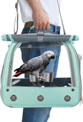 Bird Carrier Parrot Travel Cage with Perch, Food Bowl, Tray and Breathable Clear Window, Bird Travel Bag for African Gray Cockatiel Caique Conure Quaker, for Vetting Camping Hiking (Blue)