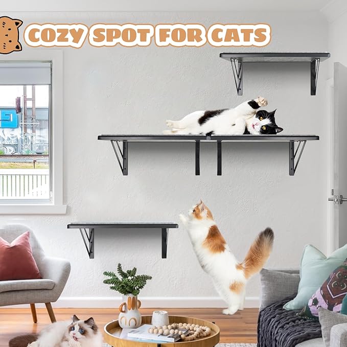 Cat Wall Shelves Set of 4, Purrfect Cat Furniture Set - 4 Piece Wooden Wall Shelves with Scratching Pad, Sleeping & Playing Area, Window Perch for Large Cats - Black