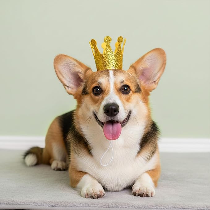 Gold Dog Birthday Crown, 3.54 Inch Height Glitter Pet Crown, Mini Party Hat for Cat Stuffed Animals, Small Puppy Kitten 1st Birthday Celebration, Adjustable Elastic Strap, Photoshoot Props, 1 PC