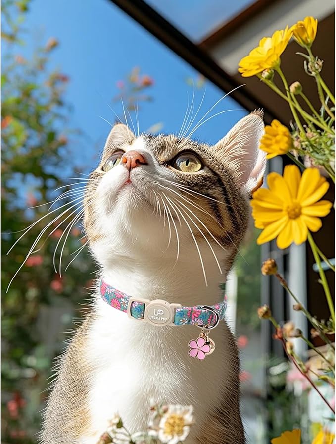 Cat Collar,2Pack Summer Cat Collars Cute Breakaway,Spring Green Leaf Flower Kitten Collar with Bell, Kitty Collars with Safety Buckle for Girl & Boy Cats