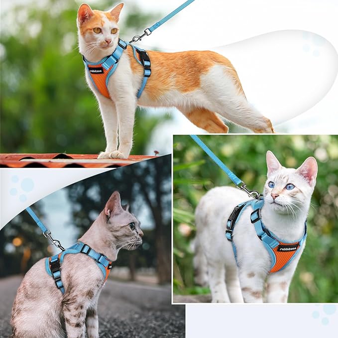 rabbitgoo Cat Harness and Leash Set, Escape Proof Soft Adjustable Vest Harnesses for Outdoor Walking, Easy Control Breathable Kitten Jacket with Reflective Strips, Orange & Light Blue, XS