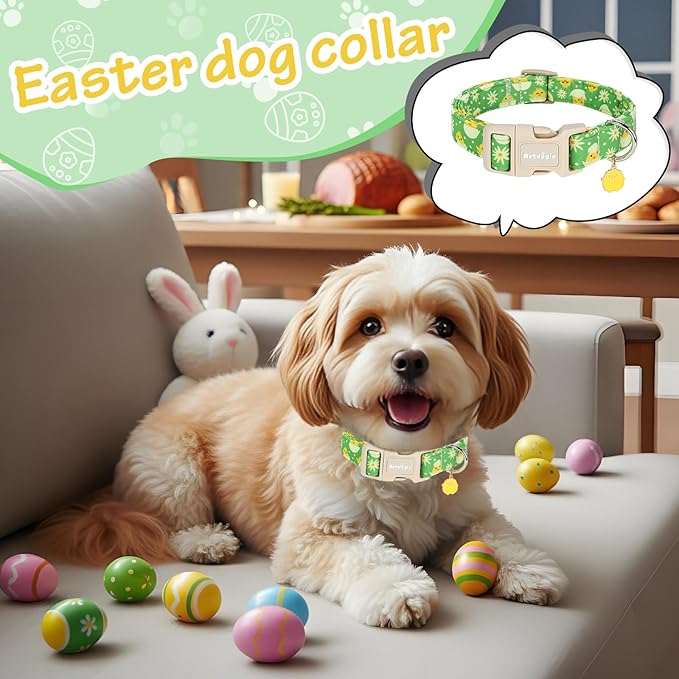Easter Dog Collar for Small Dogs, Easter & Spring Theme Small Dog Collar with Cute Chick Hatching Pattern, Adjustable Easter Dog Collars Girl Boy Collar for Dogs -S